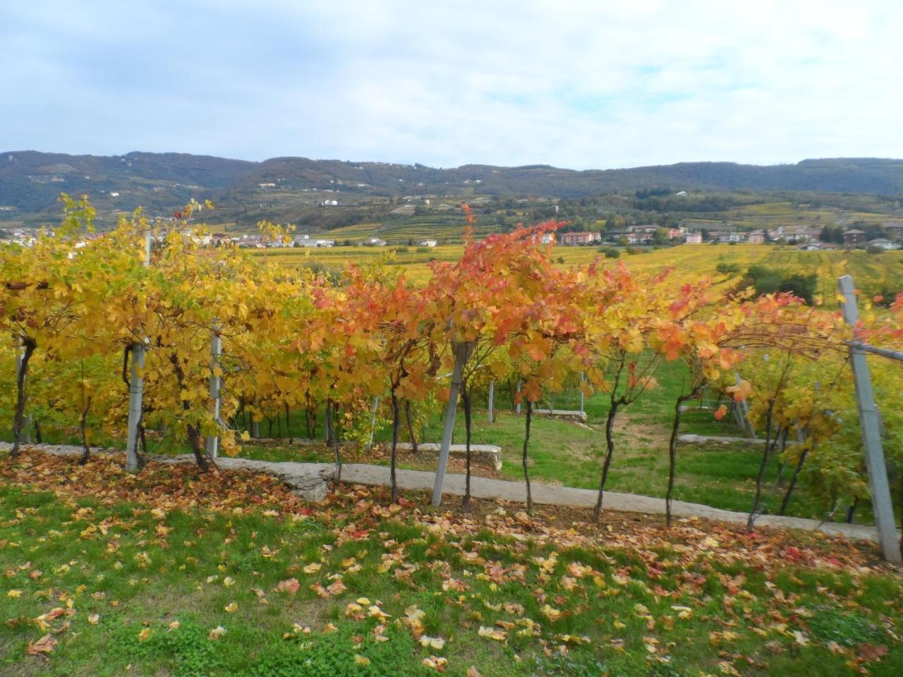 Hotel Villa Moron Negrar Dış mekan fotoğraf